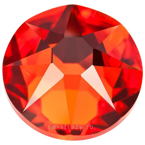 2088 ss 12 Hyacinth F