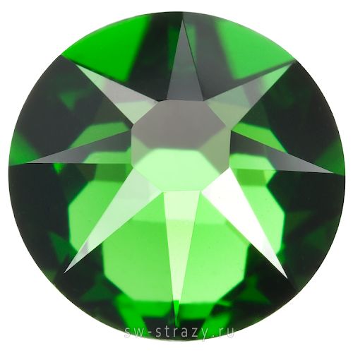 2088 ss 30 Fern Green F