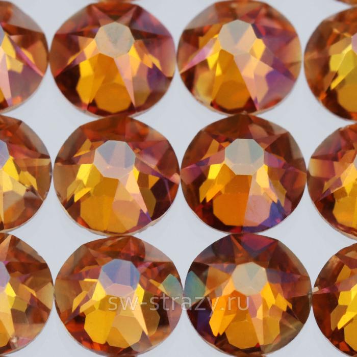 C88 ss16 Coffee K9 HF